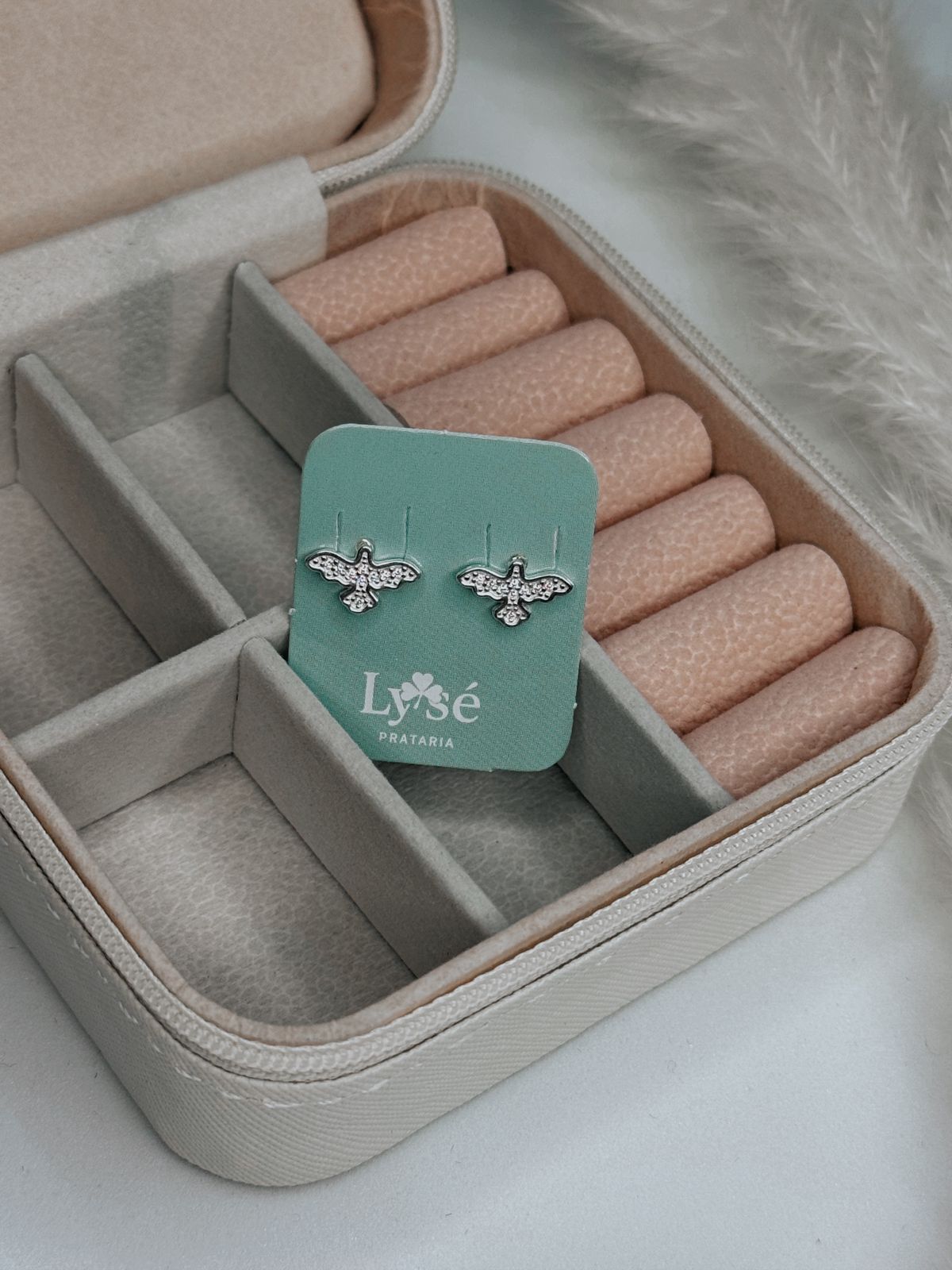 BRINCOS ESPIRITO SANTO CRAV.