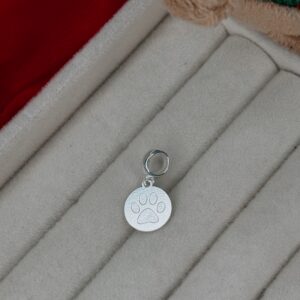 BERLORQUE CÍRCULO PATA LISO DE PRATA