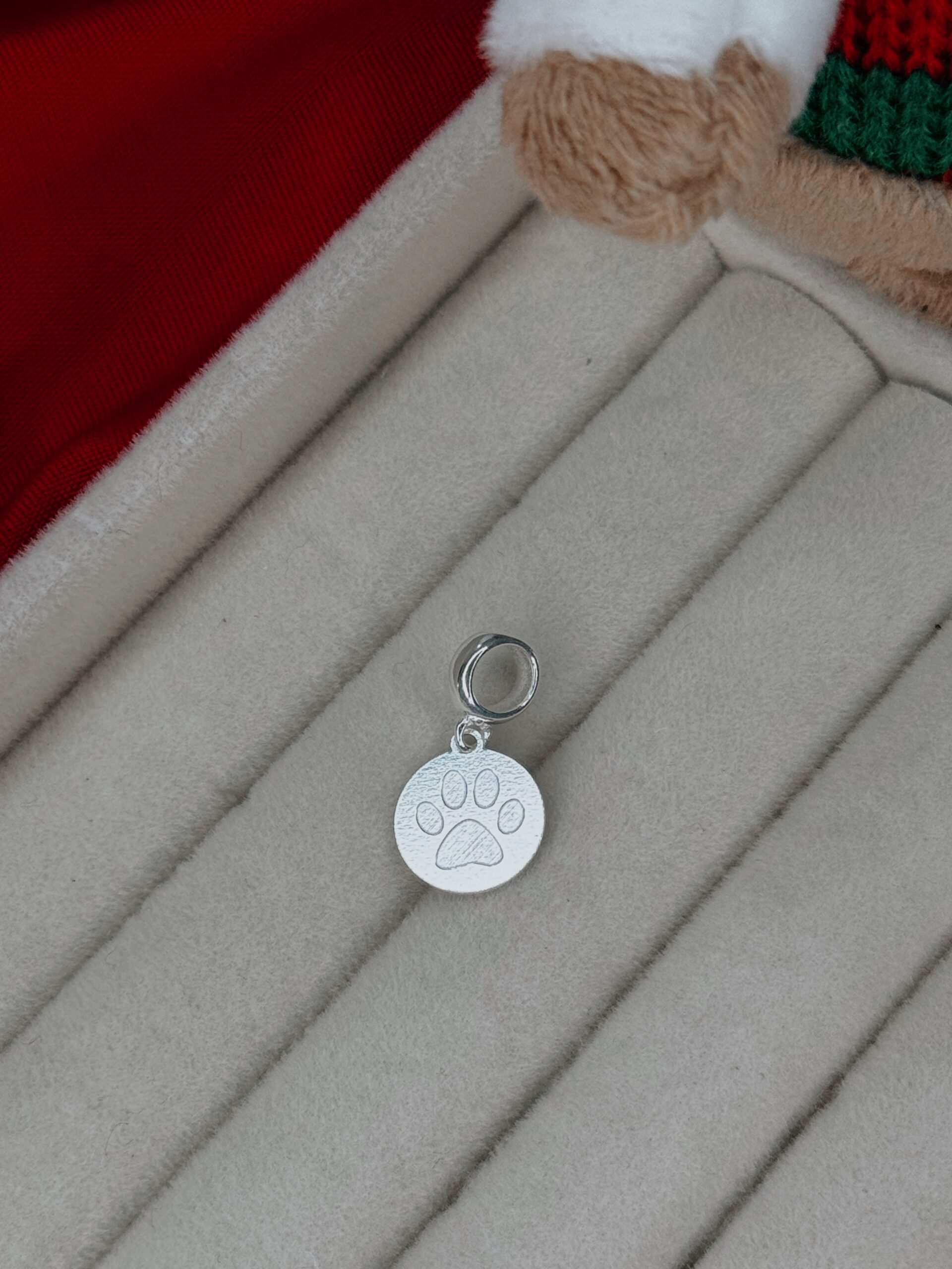 BERLORQUE CÍRCULO PATA LISO DE PRATA